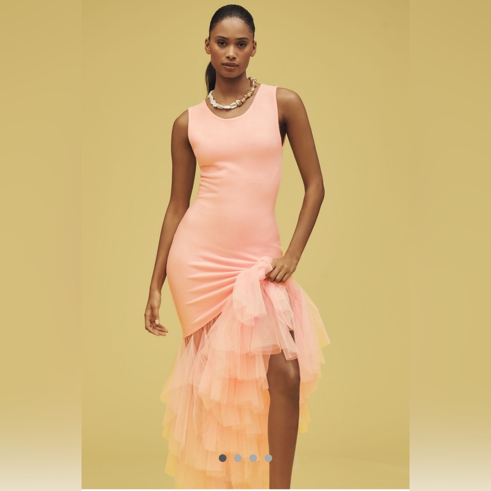 Blithe Knit Tulle Sleeveless Maxi Dress- Size Small - Picture 2 of 9